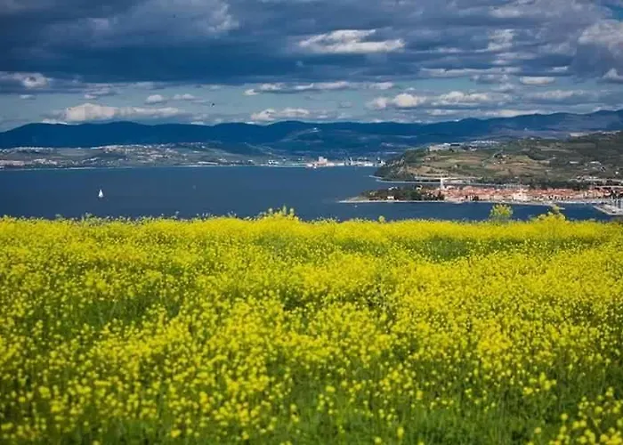 Da Andrea * イゾラ